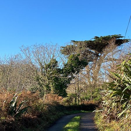 Ancaire Cottage Kilbronogue. Schull Exterior photo